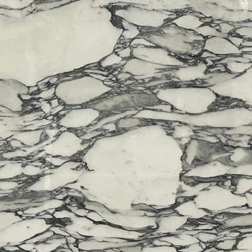 Marble Arabescato Corchia